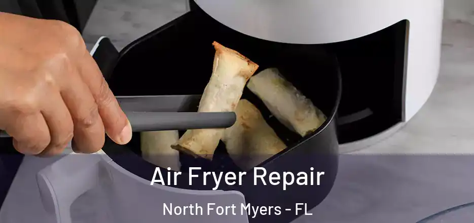  Air Fryer Repair North Fort Myers - FL