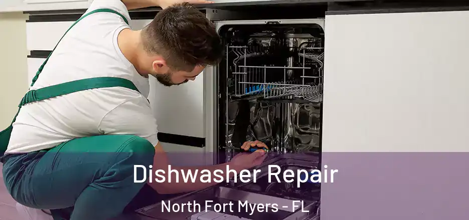  Dishwasher Repair North Fort Myers - FL