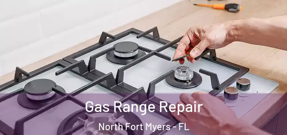  Gas Range Repair North Fort Myers - FL