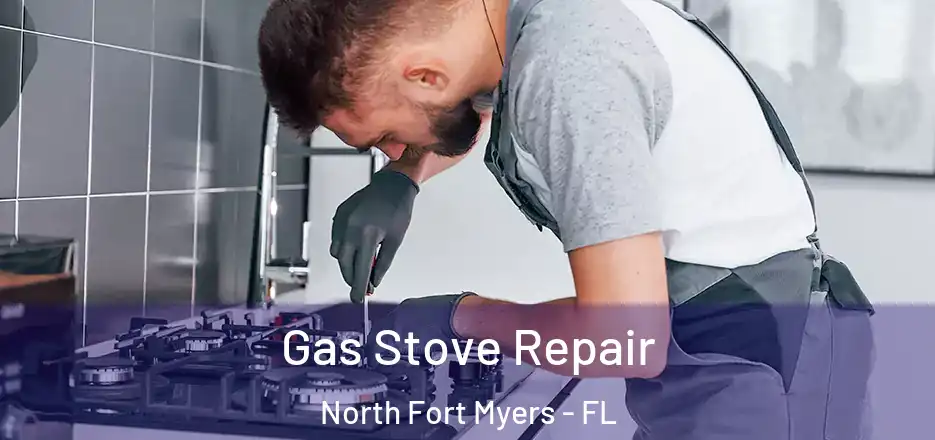  Gas Stove Repair North Fort Myers - FL