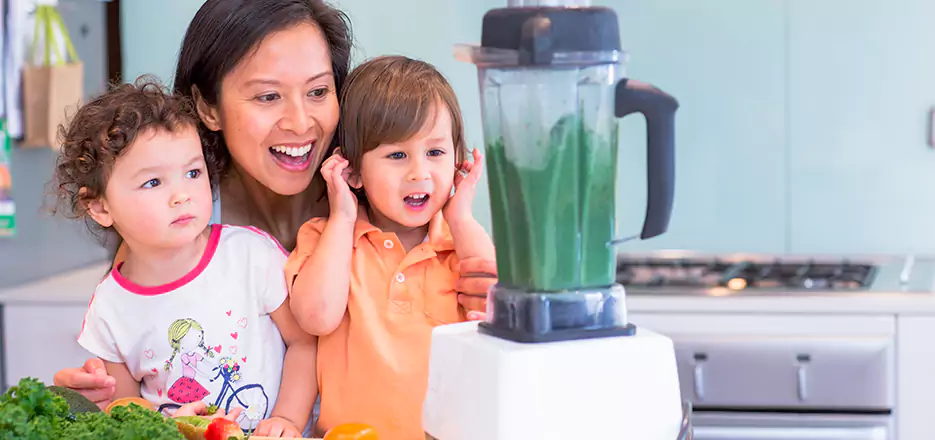 Juicer and Mixer Blender Repair in North Fort Myers 