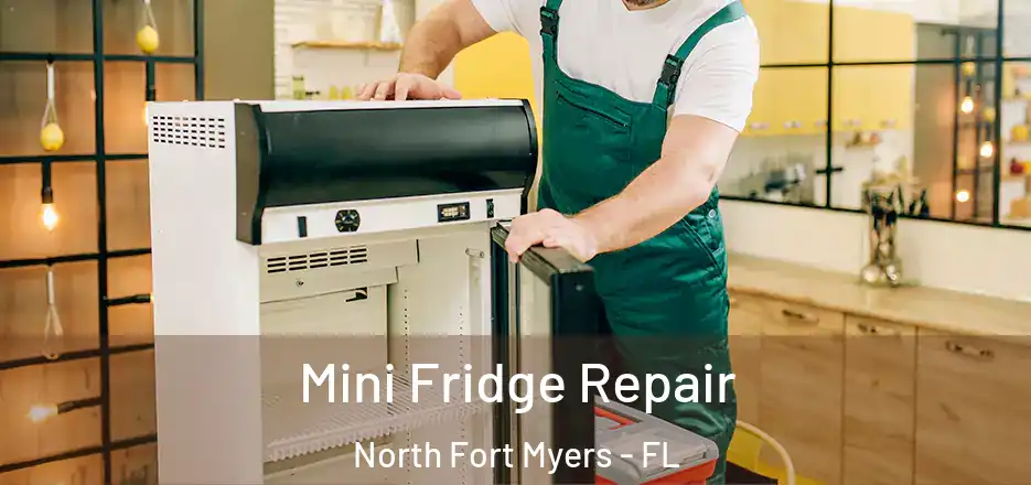  Mini Fridge Repair North Fort Myers - FL