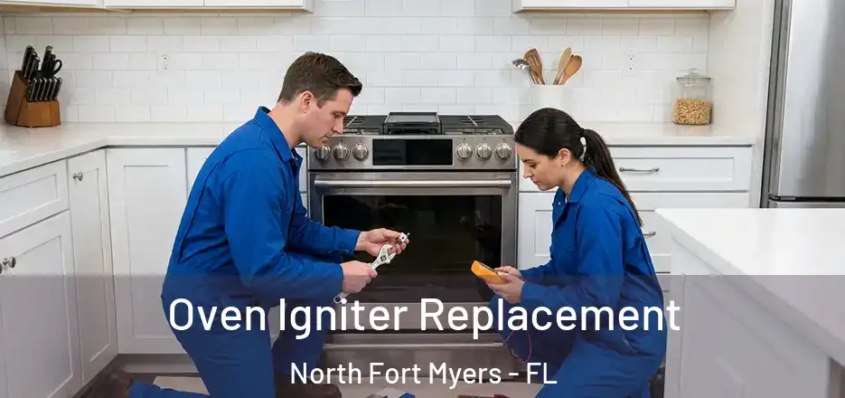  Oven Igniter Replacement North Fort Myers - FL