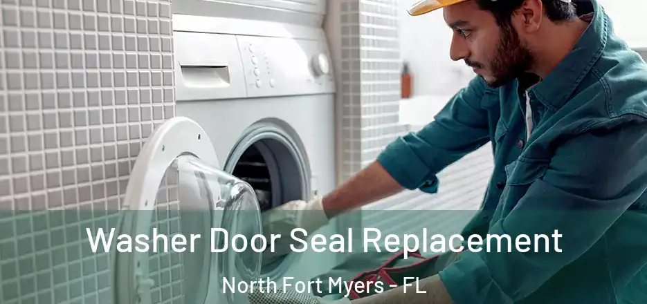  Washer Door Seal Replacement North Fort Myers - FL